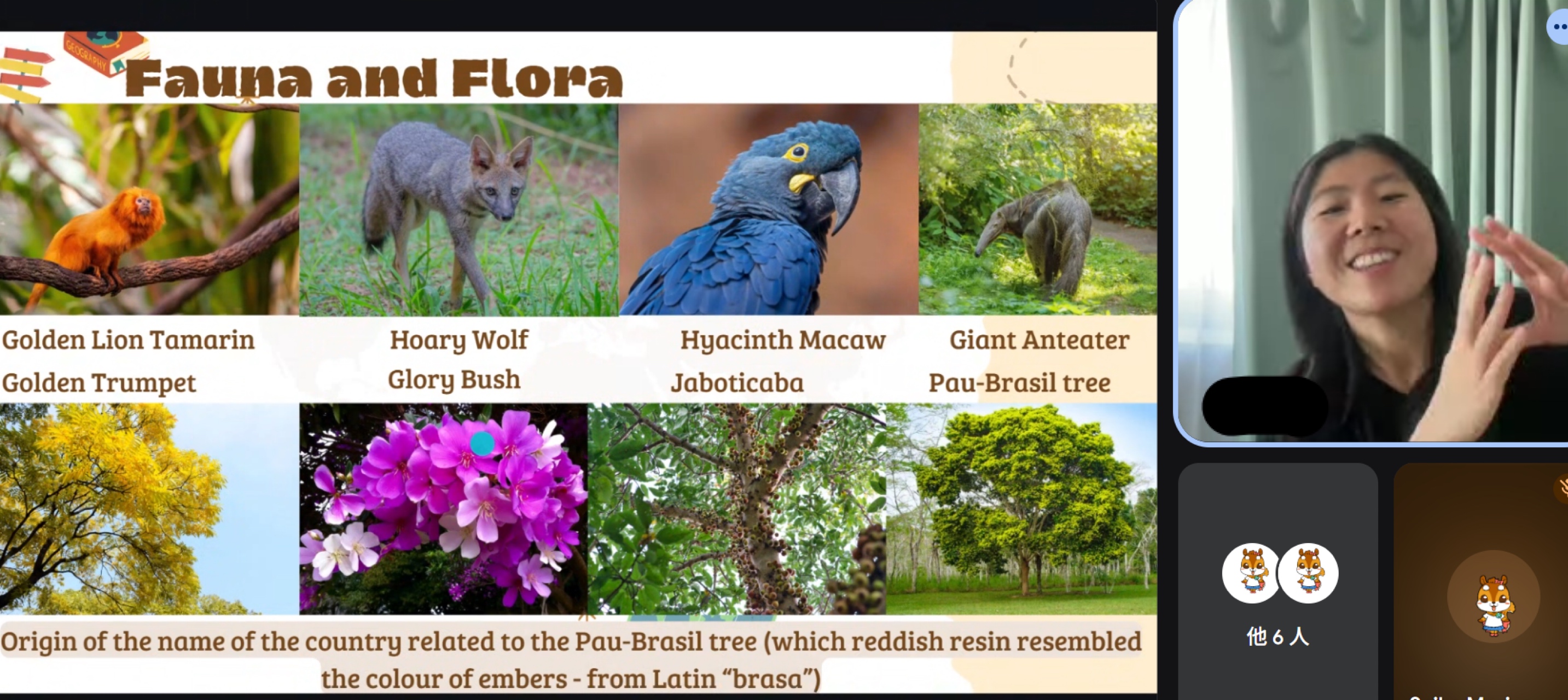 オンラインワークショップの様子